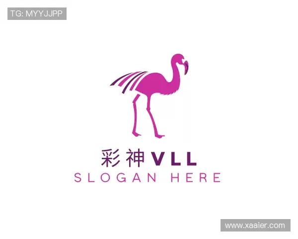 认识彩神vll